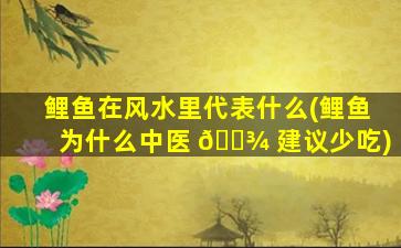 鲤鱼在风水里代表什么(鲤鱼为什么中医 🌾 建议少吃)